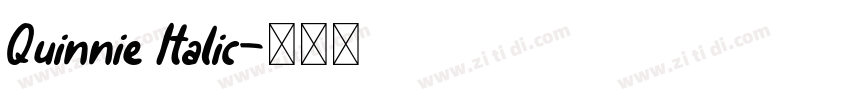 Quinnie Italic字体转换